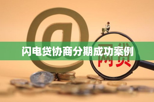 闪电贷协商分期成功案例
